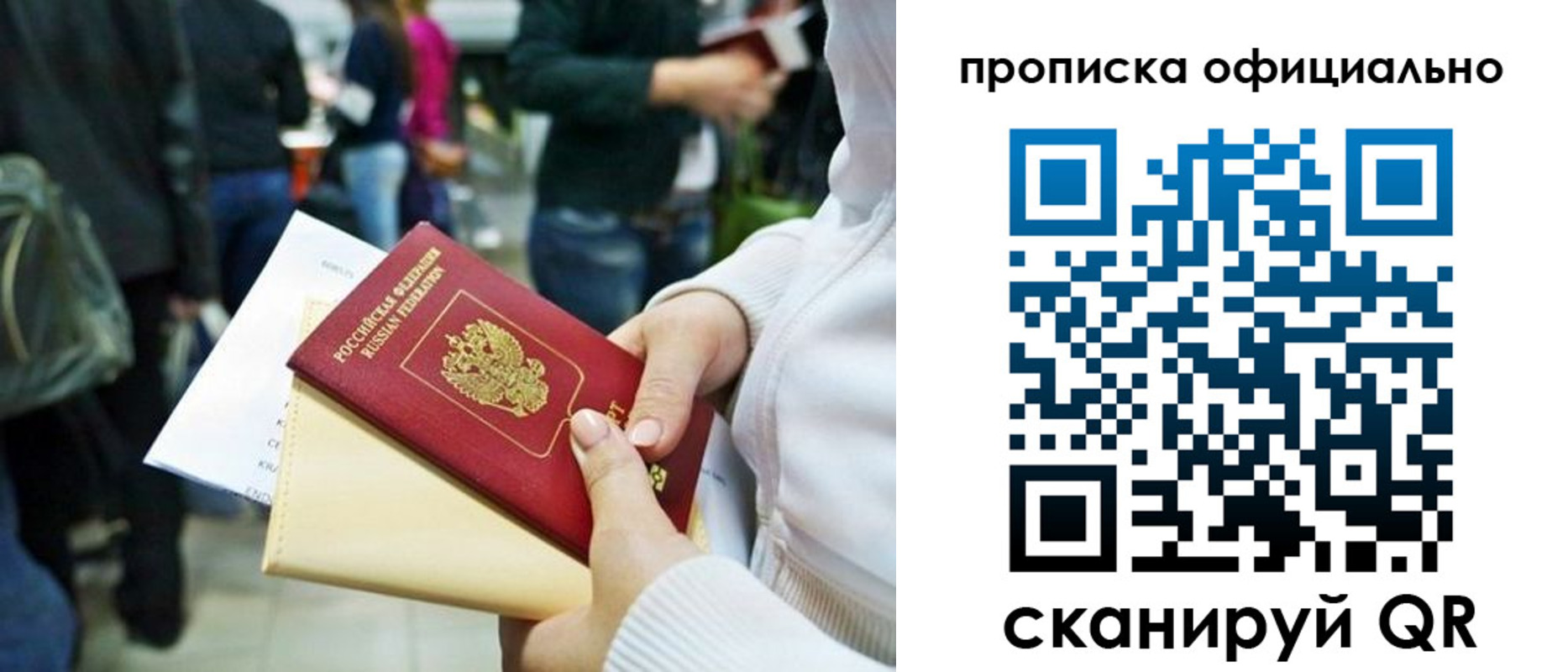 временная регистрация поиск в Курской области